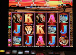 壹号电子娱乐app下载免费版